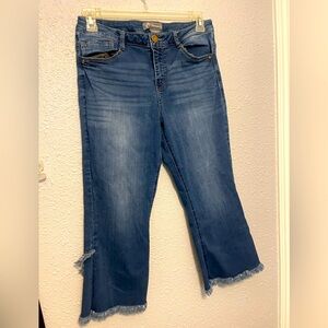 Democracy Cropped Frayed High Rise Jeans. Size 10